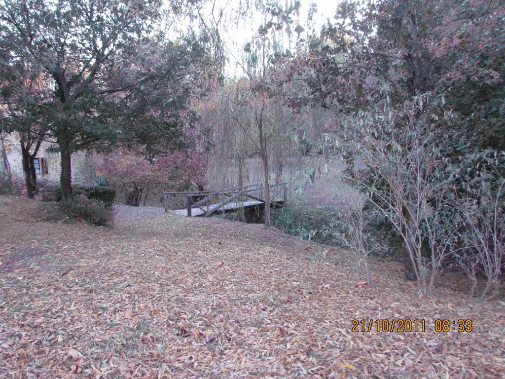 Agriturismo Il Mulino Delle Pile 치우스다이노시 외부 사진