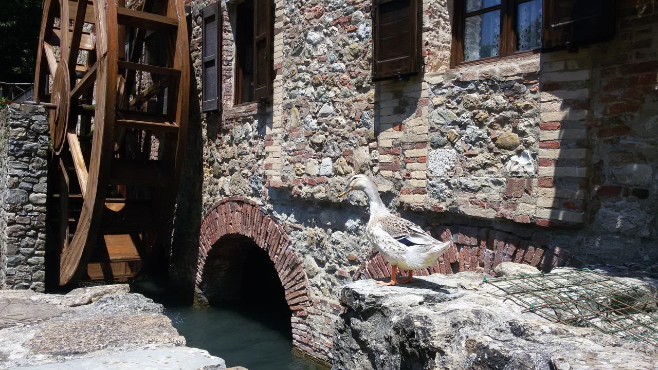 Agriturismo Il Mulino Delle Pile 치우스다이노시 외부 사진