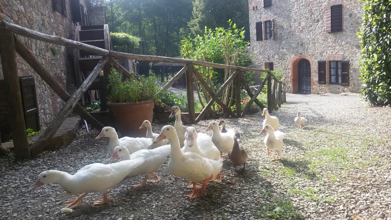 Agriturismo Il Mulino Delle Pile 치우스다이노시 외부 사진