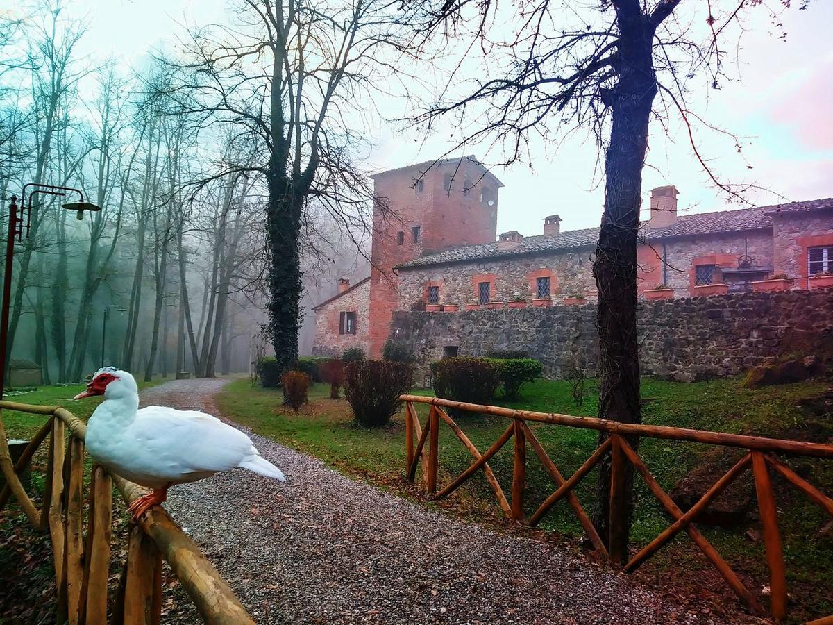 Agriturismo Il Mulino Delle Pile 치우스다이노시 외부 사진