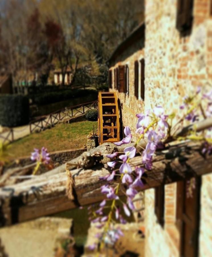 Agriturismo Il Mulino Delle Pile 치우스다이노시 외부 사진