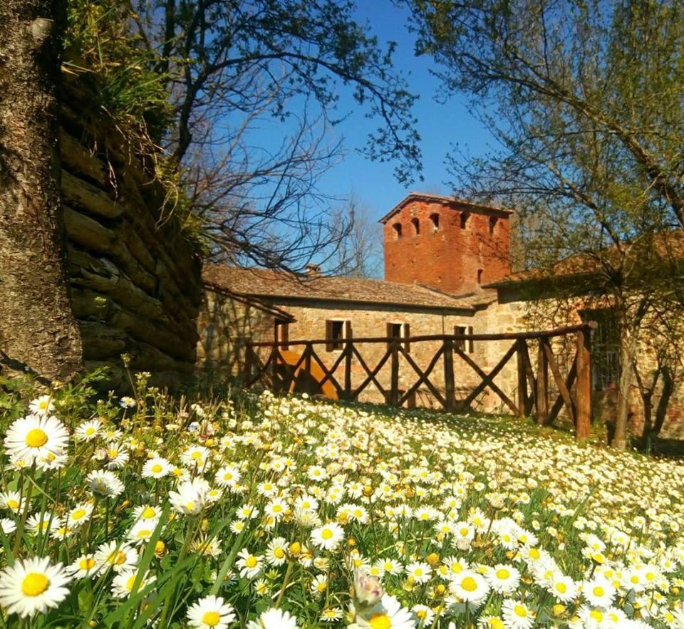 Agriturismo Il Mulino Delle Pile 치우스다이노시 외부 사진