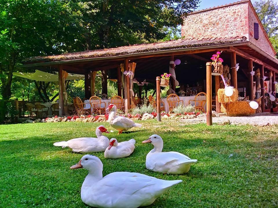 Agriturismo Il Mulino Delle Pile 치우스다이노시 외부 사진