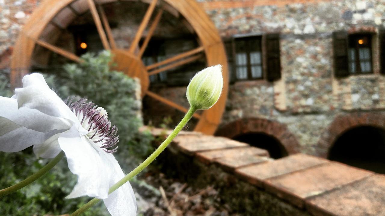 Agriturismo Il Mulino Delle Pile 치우스다이노시 외부 사진